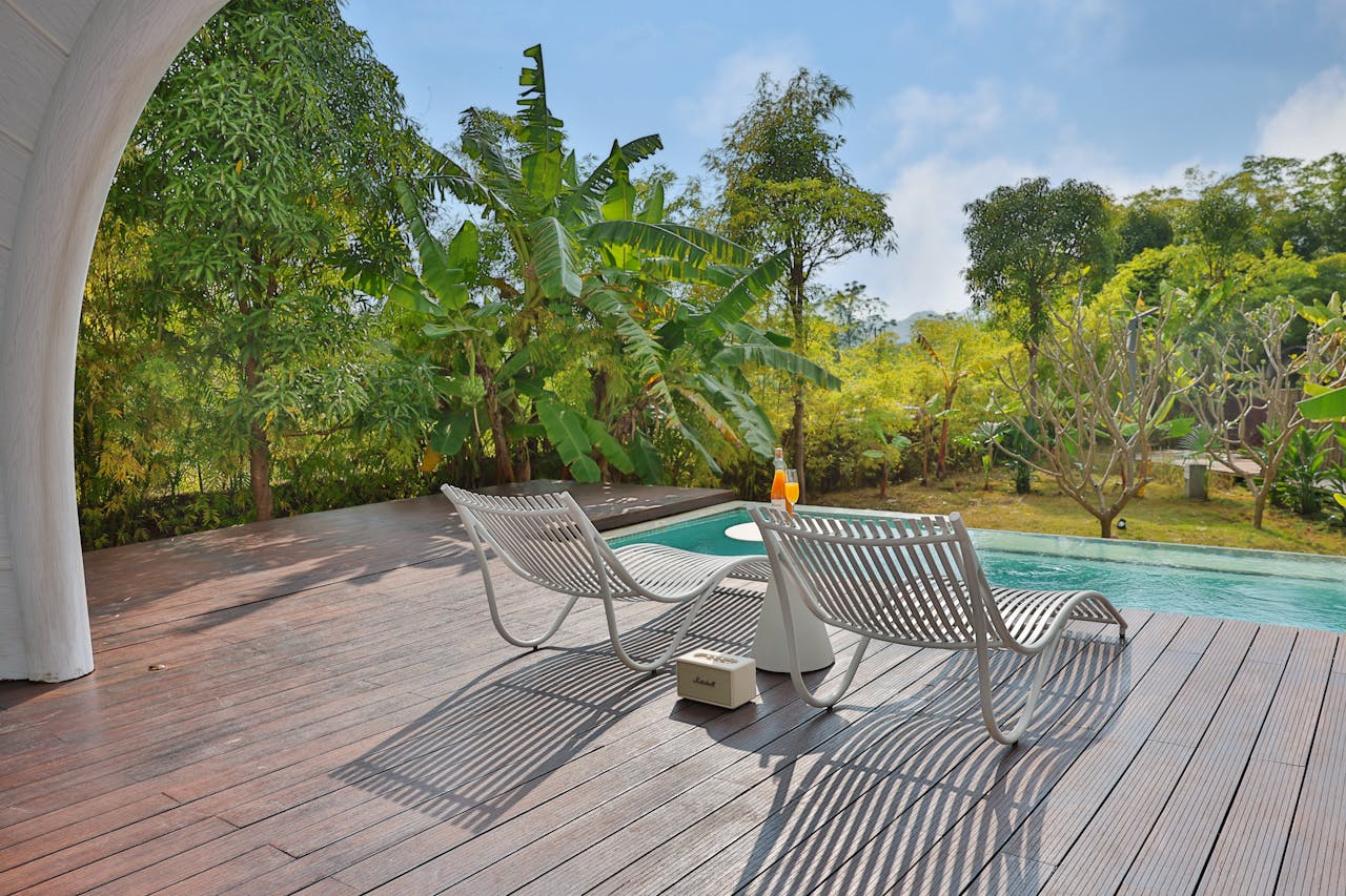 pexels photo 35377227.jpeg